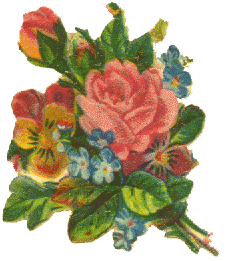 rose1.tif (182902 Byte)